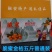 融安滑皮金桔，脆皮爽口，纯甜无酸，果园产地直发，价格实惠
