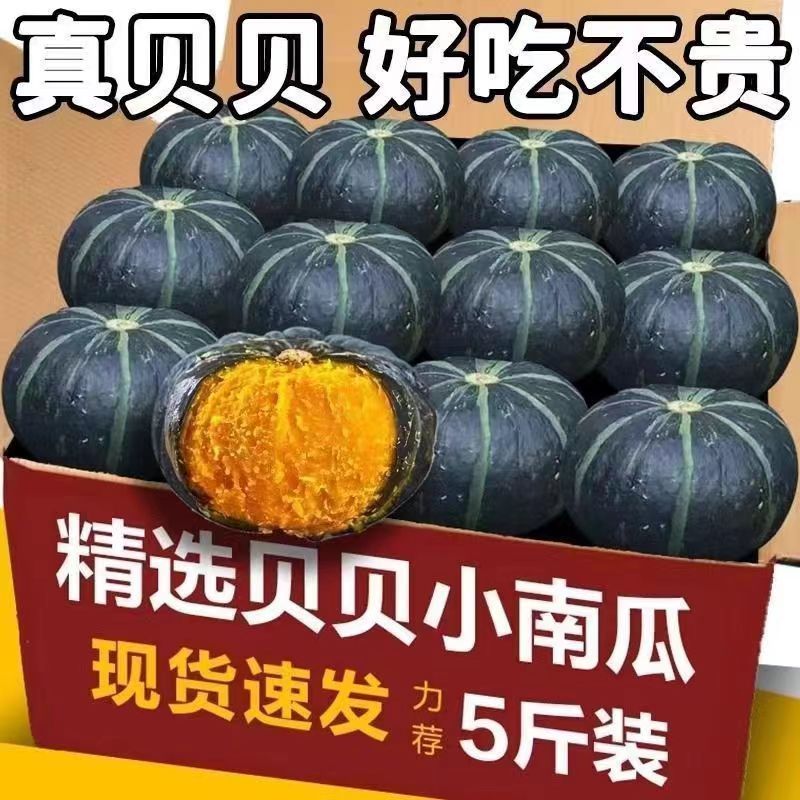 正宗贝贝南瓜板栗味贝贝面南瓜应季蔬菜辅食粉糯干面小南瓜整