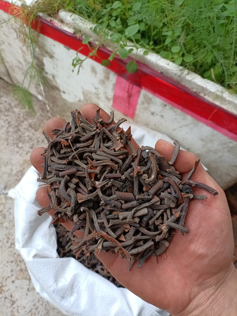 桂丁/精选好货/批发兼零售，量大可商议，全国包邮