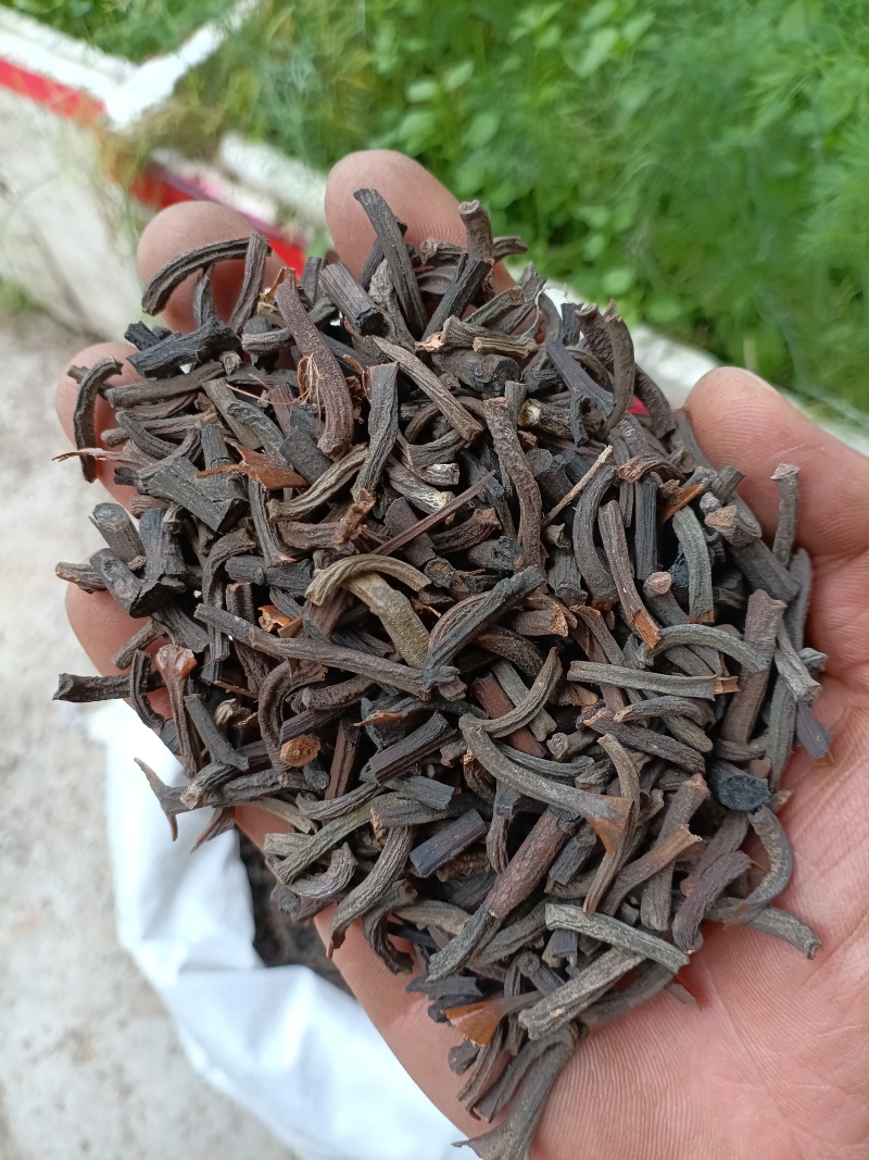 桂丁/精选好货/批发兼零售，量大可商议，全国包邮