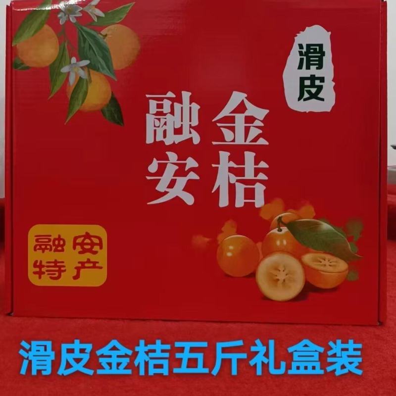 融安滑皮金桔纯甜无酸，礼盒装