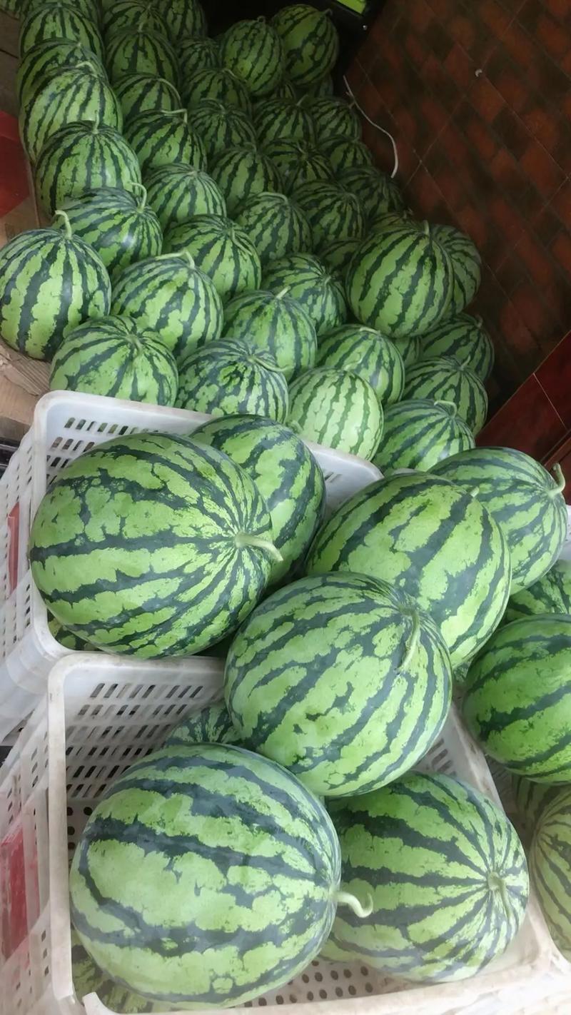 美都西瓜，无籽美都，皮薄肉甜，一手货源，代发全国，