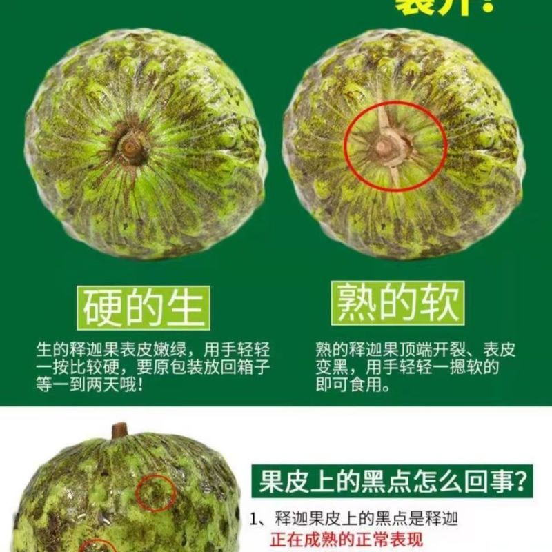 一件代发牛奶释迦凤梨大目番荔枝佛头摩尼果林檎新鲜水果纯甜