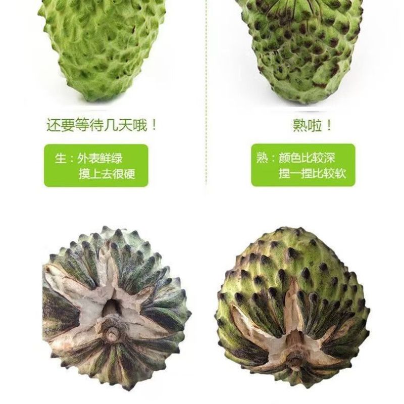 一件代发牛奶释迦凤梨大目番荔枝佛头摩尼果林檎新鲜水果纯甜