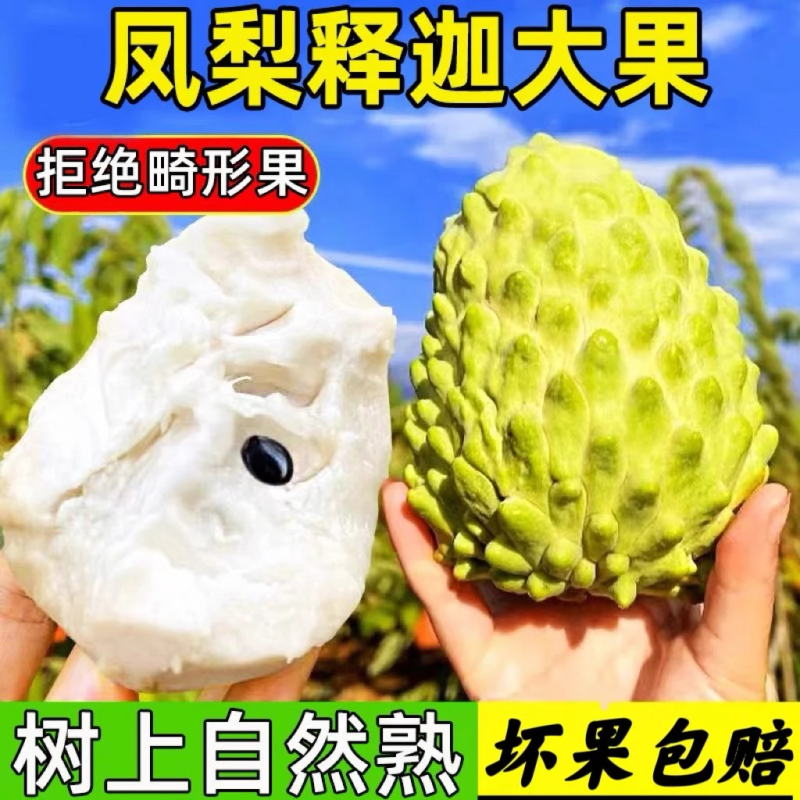 一件代发牛奶释迦凤梨大目番荔枝佛头摩尼果林檎新鲜水果纯甜
