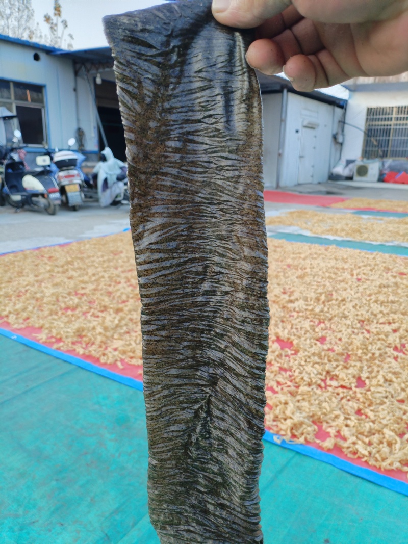 河南精品黑豆皮厂家直销，欢迎订购，需要联系