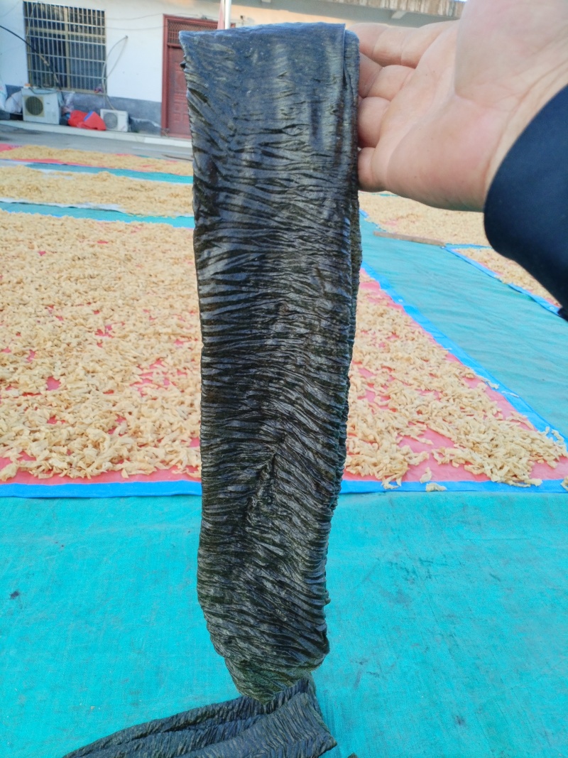 河南精品黑豆皮厂家直销，欢迎订购，需要联系