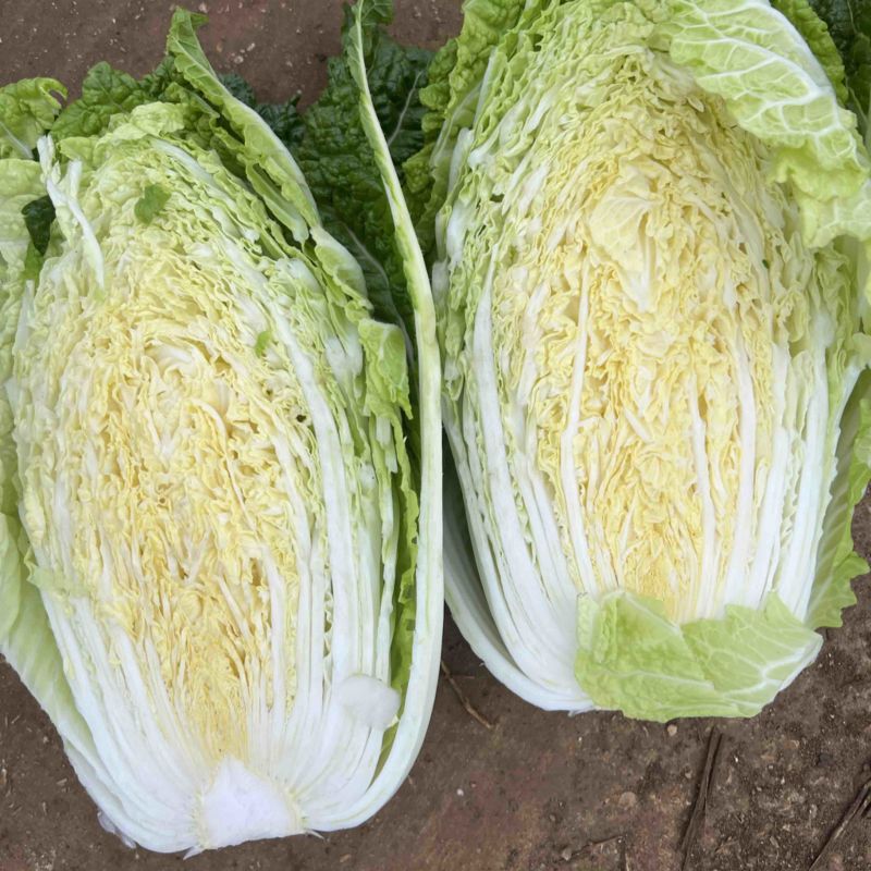 产地直发，货源充足，量大从优！品质保证
