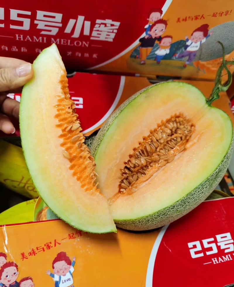 【实力供货】哈密瓜海南晓蜜25哈密瓜产地直发全国发货