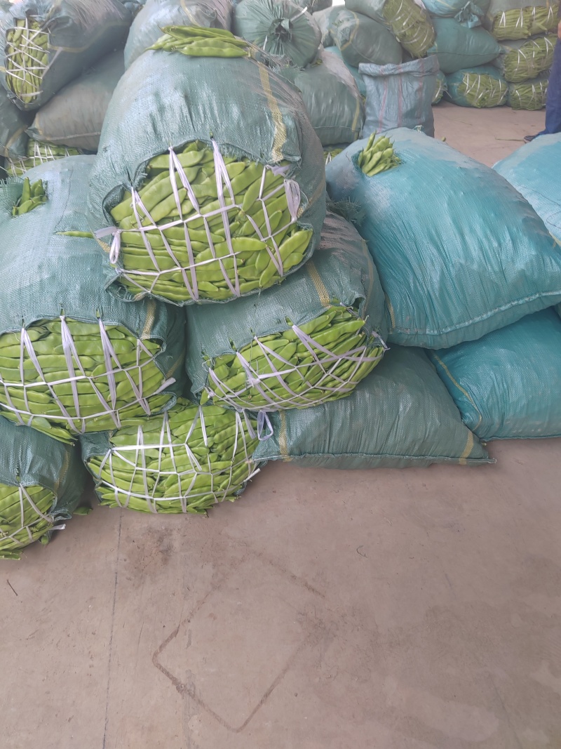 一点红油豆角大量上市需要货的老板全国带收带发质量保证价格便宜