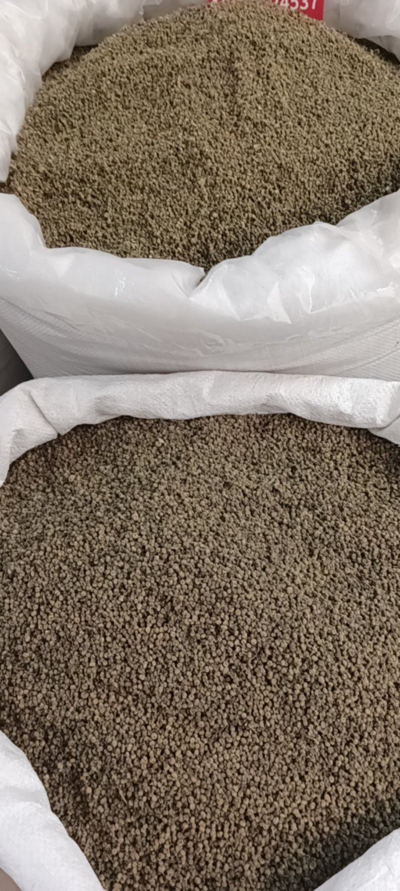 吴茱萸