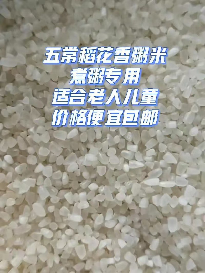 五常稻花香米粥宝宝早餐粥