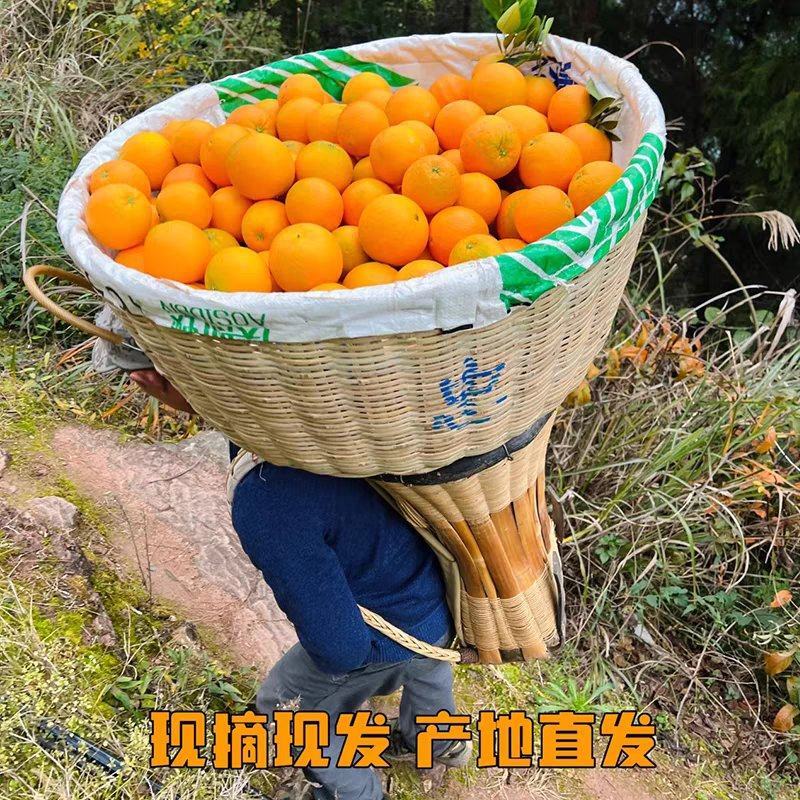 【实力】纽荷尔脐橙湖北秭归纽荷尔橙子产地直发一手货源