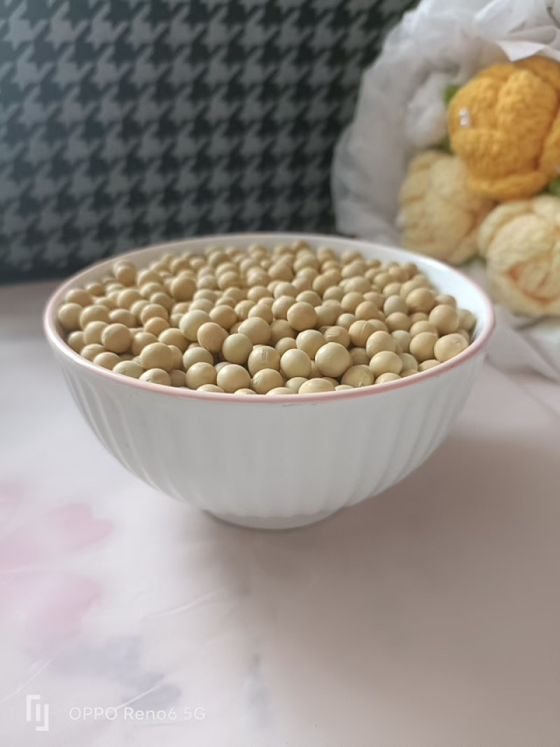 黑龙江高蛋白黄豆，自家种植，无农药化肥，品质保证