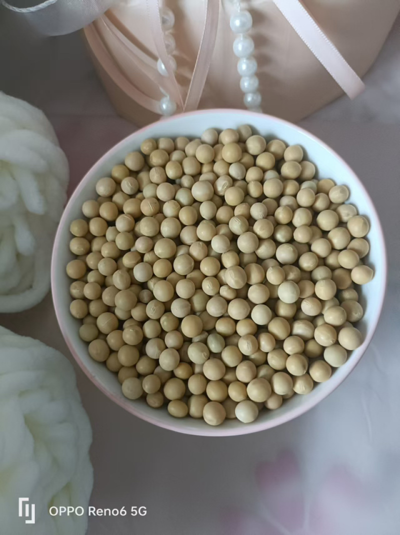 黑龙江高蛋白黄豆，自家种植，无农药化肥，品质保证