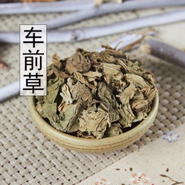 中药材正品新货野生车前草干500g克手工精选无硫天然车轮