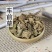 中药材正品新货野生车前草干500g克手工精选无硫天然车轮