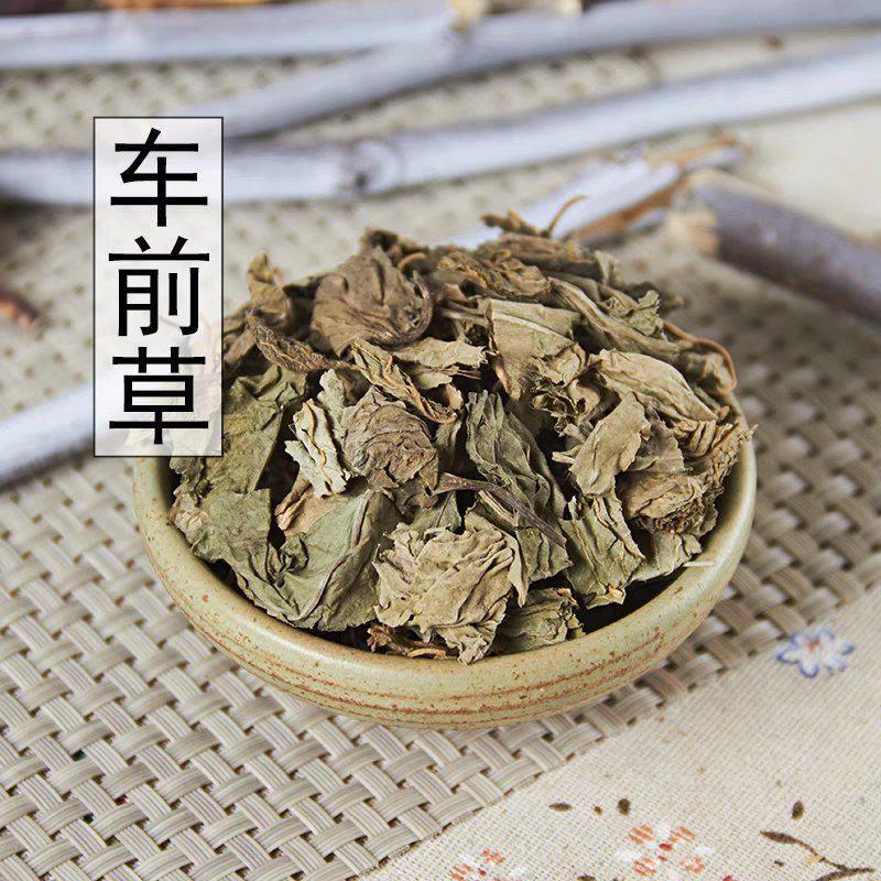 中药材正品新货野生车前草干500g克手工精选无硫天然车轮