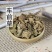 中药材正品新货野生车前草干500g克手工精选无硫天然车轮
