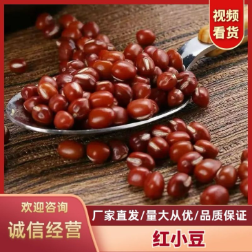 精品黑龙江红小豆，品质保证，产地直发，无农化肥添加