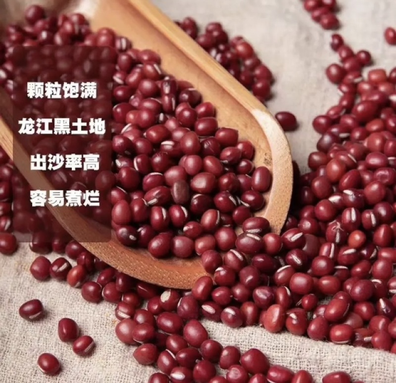 精品黑龙江红小豆，品质保证，产地直发，无农化肥添加