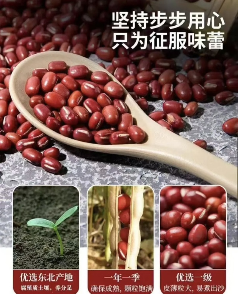 精品黑龙江红小豆，品质保证，产地直发，无农化肥添加