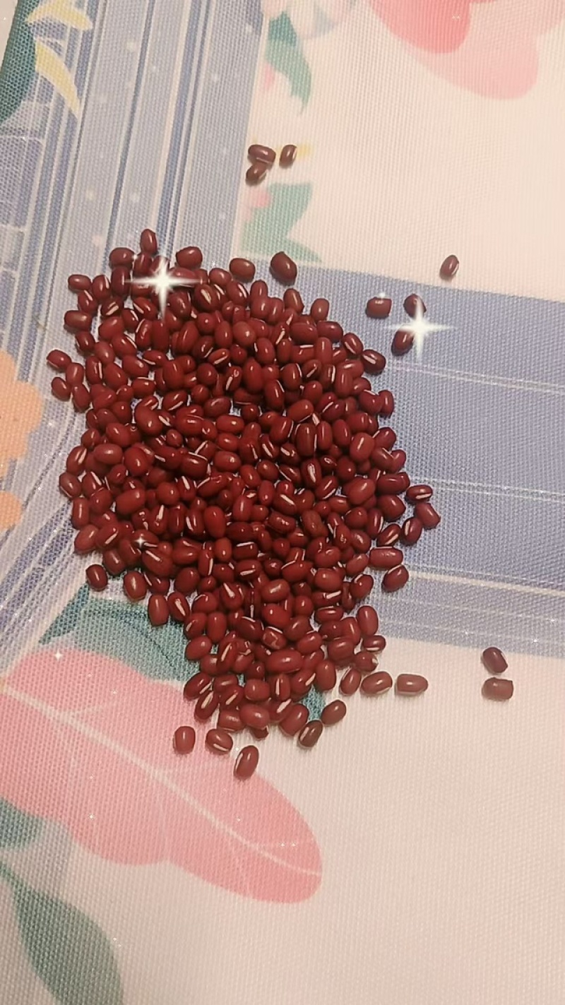 精品黑龙江红小豆，品质保证，产地直发，无农化肥添加