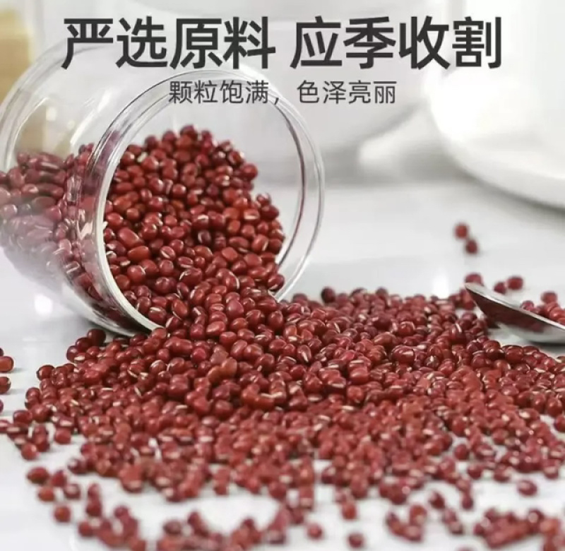 精品黑龙江红小豆，品质保证，产地直发，无农化肥添加