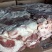 牛碎肉牛碎肉价格不高加工厂合适