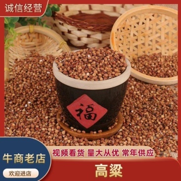 大量批发糯高粱酿酒新糯高粱米五谷杂粮带皮红高粱100斤