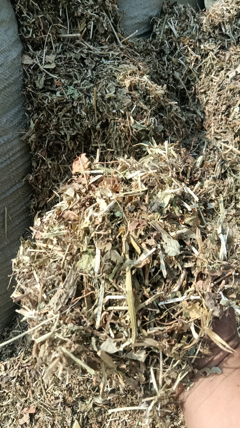 平顶山叶县花生秧饲草干净，品质好欢迎惠顾