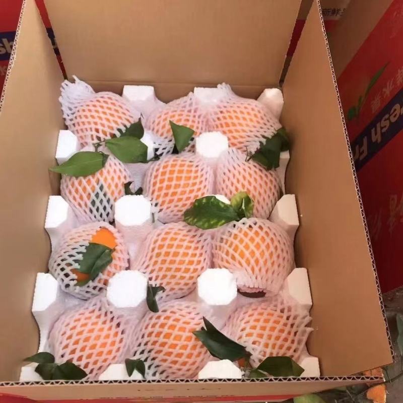 新鲜纽荷尔脐橙，秭归纽荷尔脐橙……
