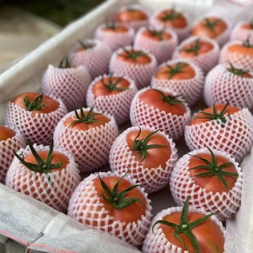 大量有货