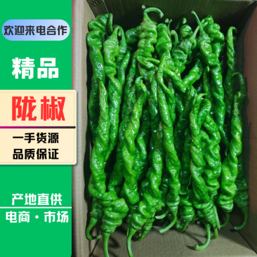 笼椒螺丝椒精品鲜辣椒基地一手货源供应各大市场电商