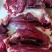 吉林鹿业【鹿肉】纯梅花鹿鹿肉，鲜肉，冻品规格齐全