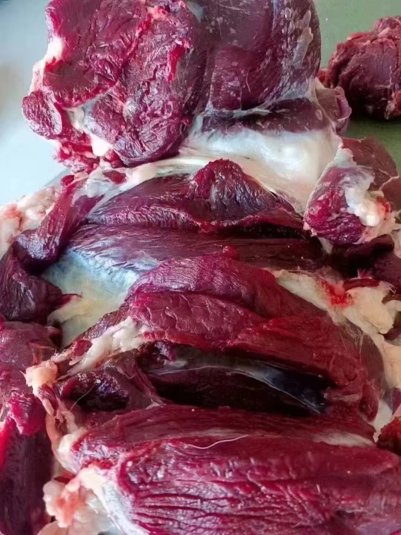吉林鹿业【鹿肉】纯梅花鹿鹿肉，鲜肉，冻品规格齐全
