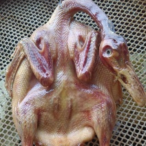 腊鸭