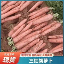 安徽省宿州市萧县胡萝卜次品，加工厂，养殖场专用