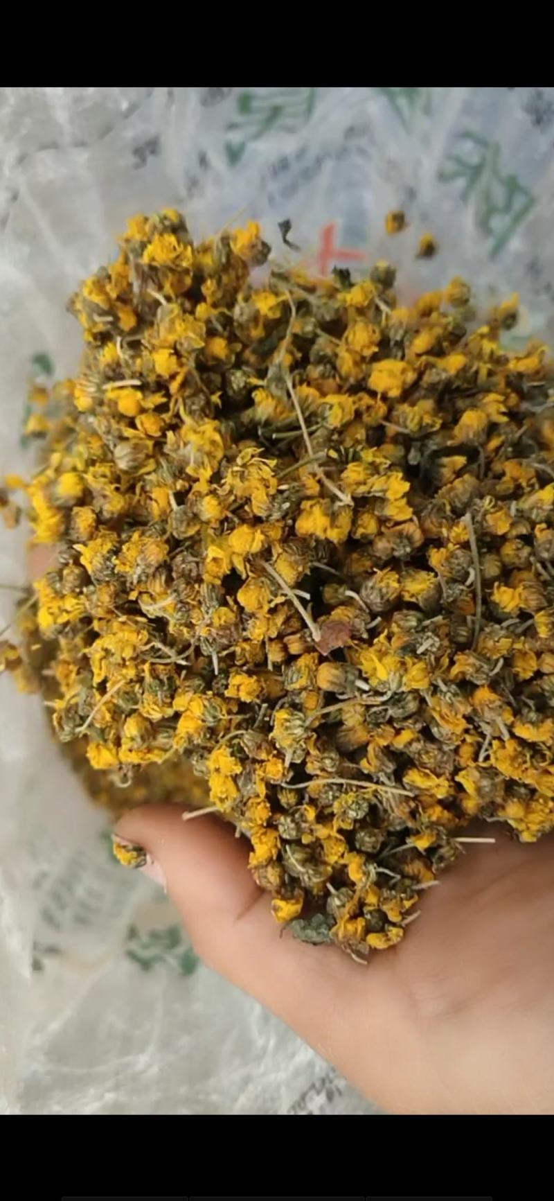 野菊花.贵州野菊花干野菊花