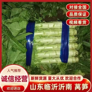 【牛商】沂南红莴笋莴苣无空心无裂口代发全国可视频看货