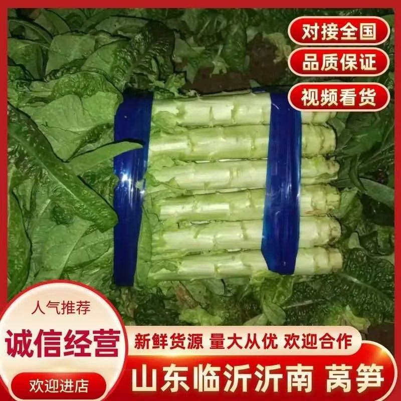 【牛商】沂南红莴笋莴苣无空心无裂口代发全国可视频看货