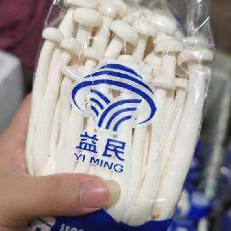 白玉菇，新鲜白玉菇每天现采