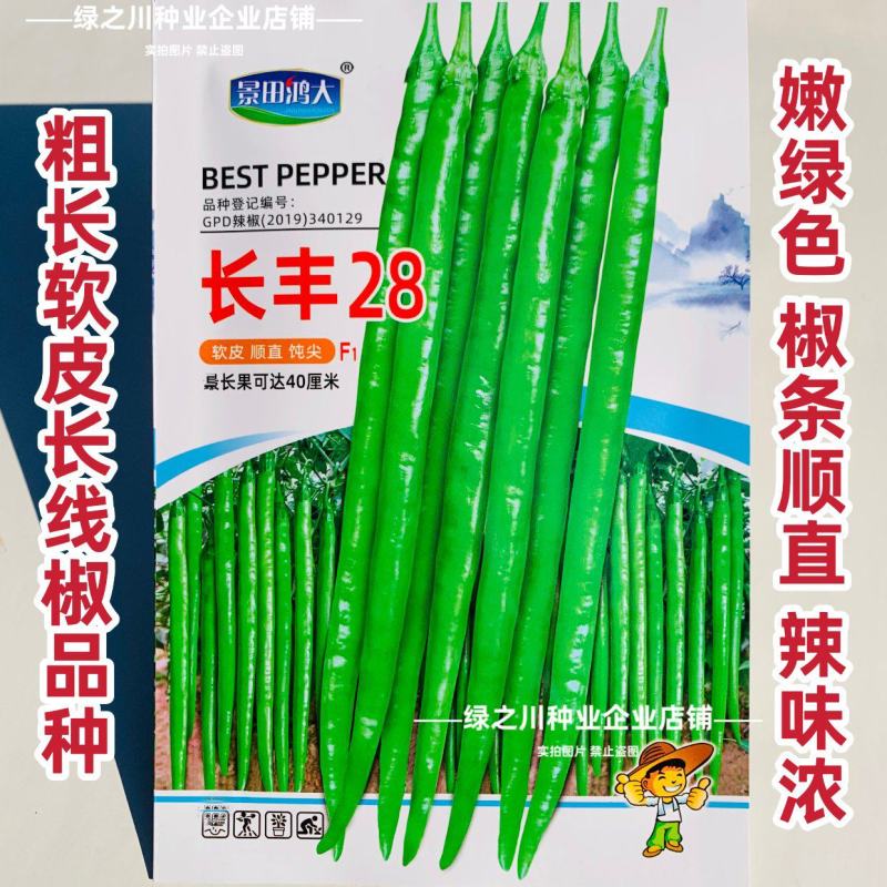 特长线椒长丰28粗长线椒种子香辣嫩绿色条椒顺直光滑