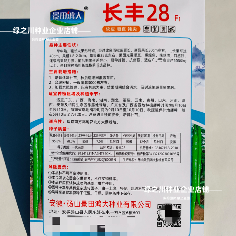 特长线椒长丰28粗长线椒种子香辣嫩绿色条椒顺直光滑