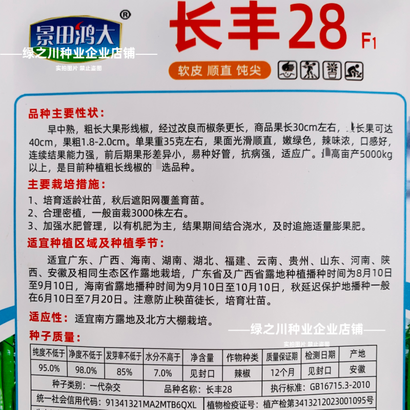 特长线椒长丰28粗长线椒种子香辣嫩绿色条椒顺直光滑