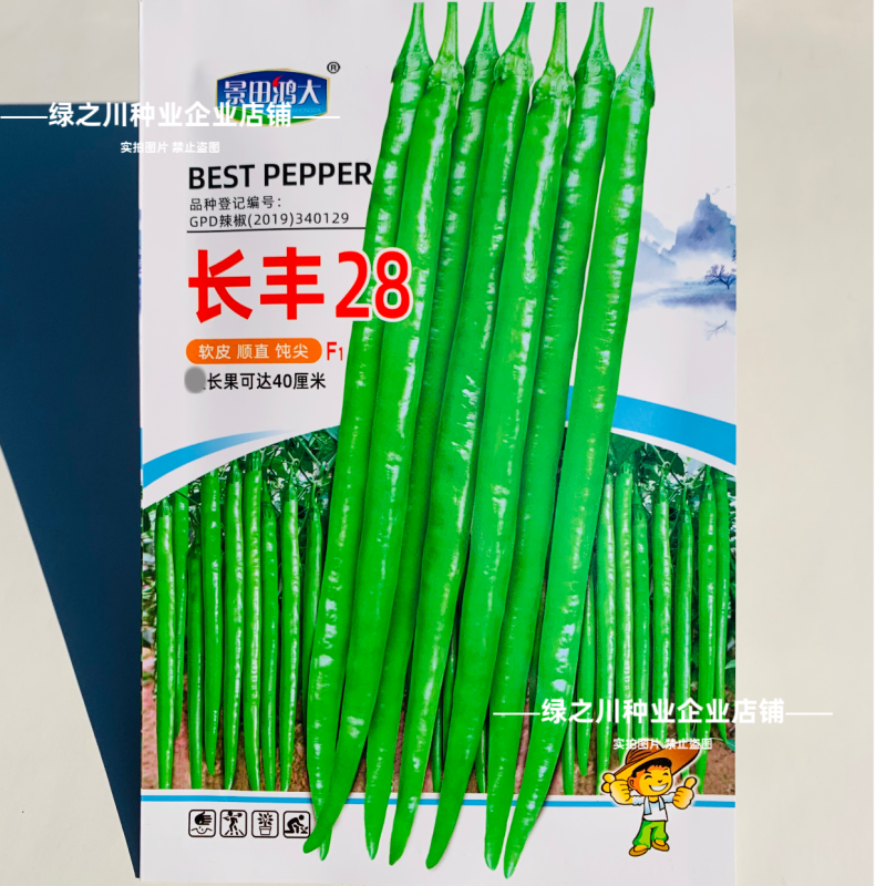 特长线椒长丰28粗长线椒种子香辣嫩绿色条椒顺直光滑