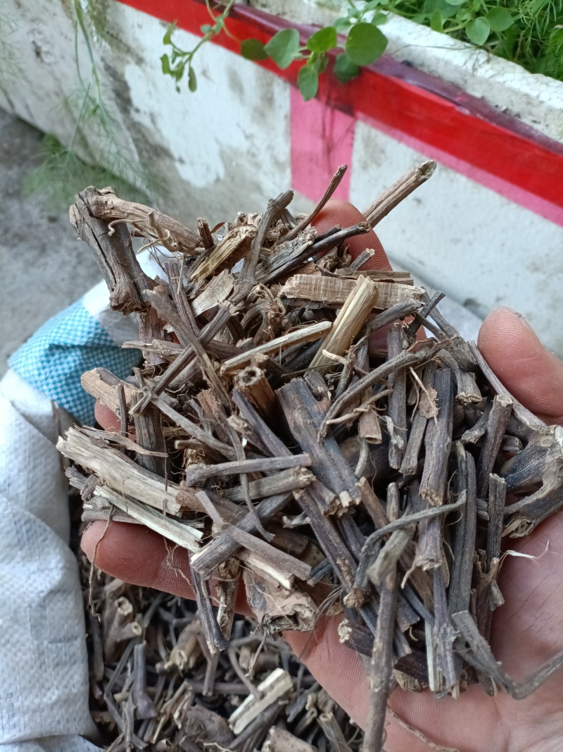 排草/香排草/排香草/精选好货/量大可商议，全国包邮