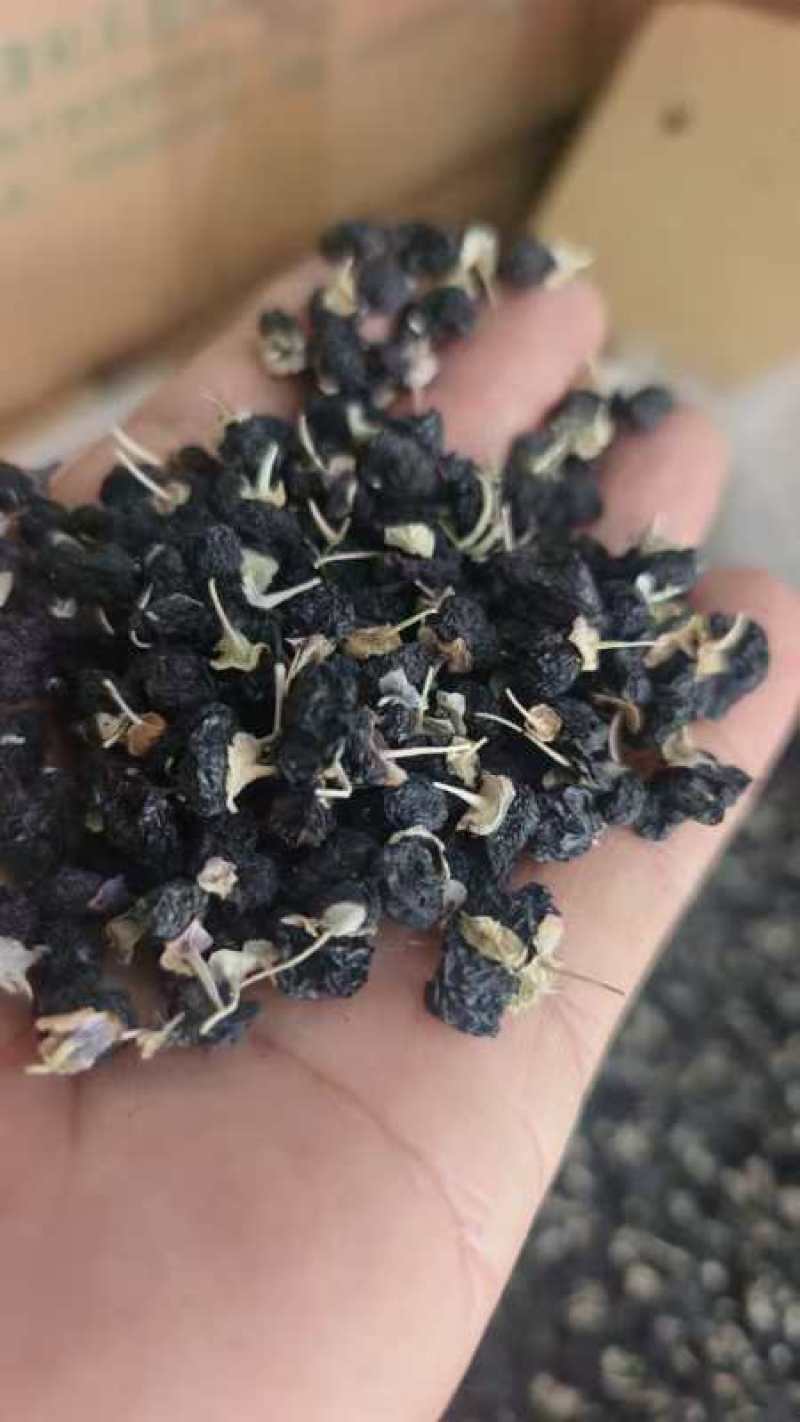 宁夏大粒黑枸杞。泡茶满满的花青素，颗粒饱满。，