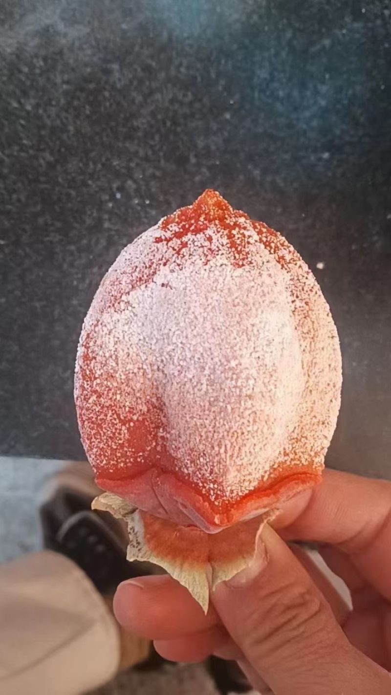 富平柿饼自然上霜。