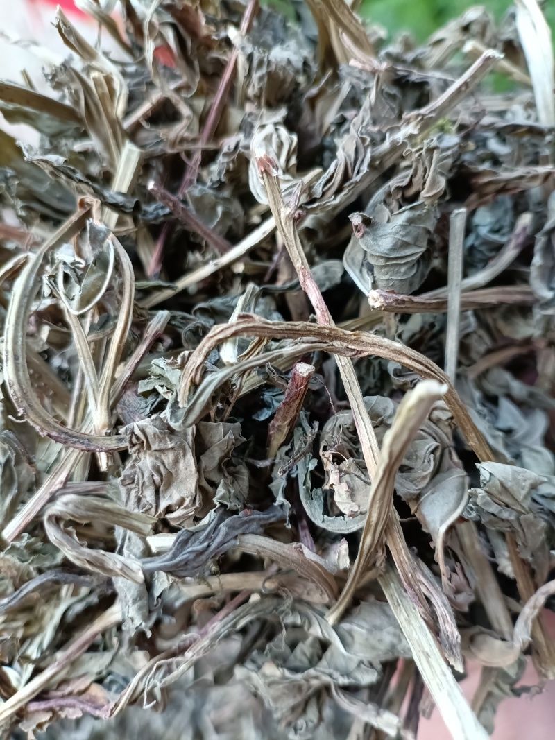 灵草/灵香草/精选好货，批发兼零售量大可商议，全国包邮